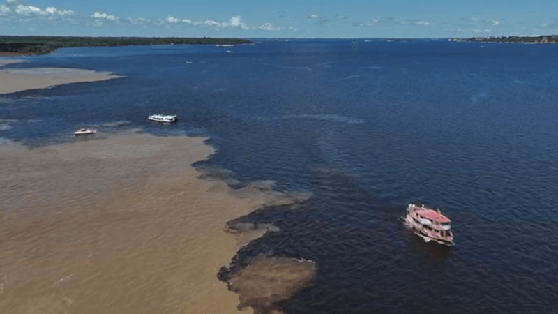 Dia Mundial da Água: Romaria Mobiliza Manaus pela Preservação dos Rios