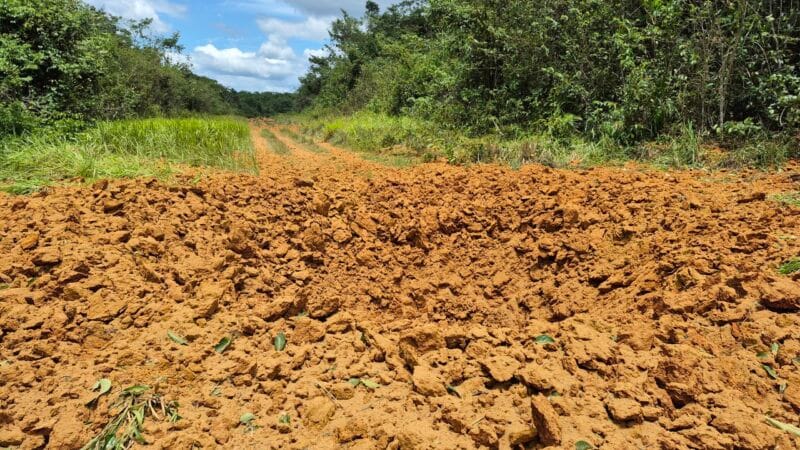 Operação Catrimani II: Combate ao Garimpo Ilegal na Terra Yanomami