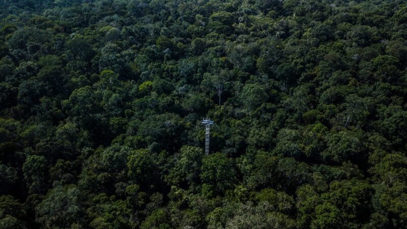Inscrições Abertas para Workshop Internacional sobre a Amazônia em Santarém