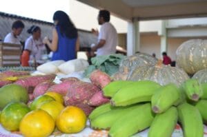 Retorno da Feira da Agricultura Familiar da Ufopa marca início de 2026