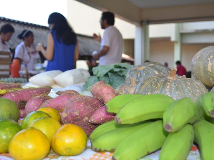 Retorno da Feira da Agricultura Familiar da Ufopa marca início de 2026