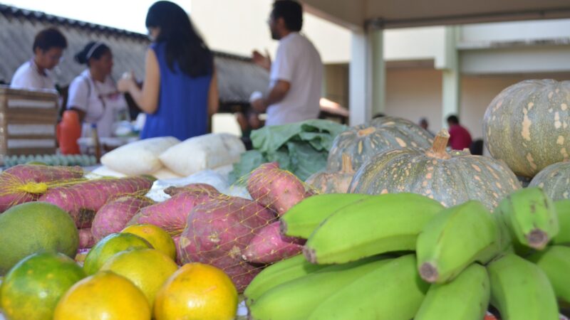 Retorno da Feira da Agricultura Familiar da Ufopa marca início de 2026