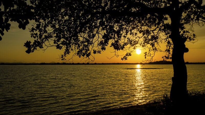 Exposição ‘Revelando Roraima’: Uma Viagem Fotográfica pelo Estado