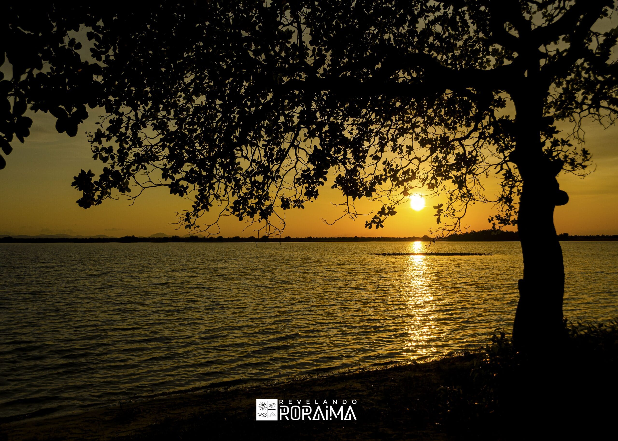 Exposição ‘Revelando Roraima’: Uma Viagem Fotográfica pelo Estado