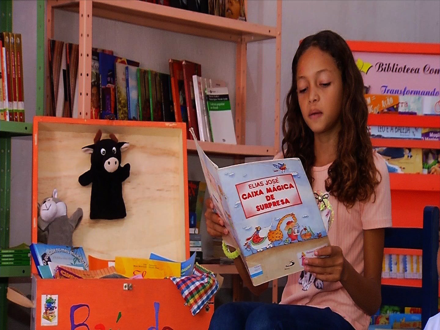 Desafios na Alfabetização: Seis Estados Abaixo das Metas para 2025