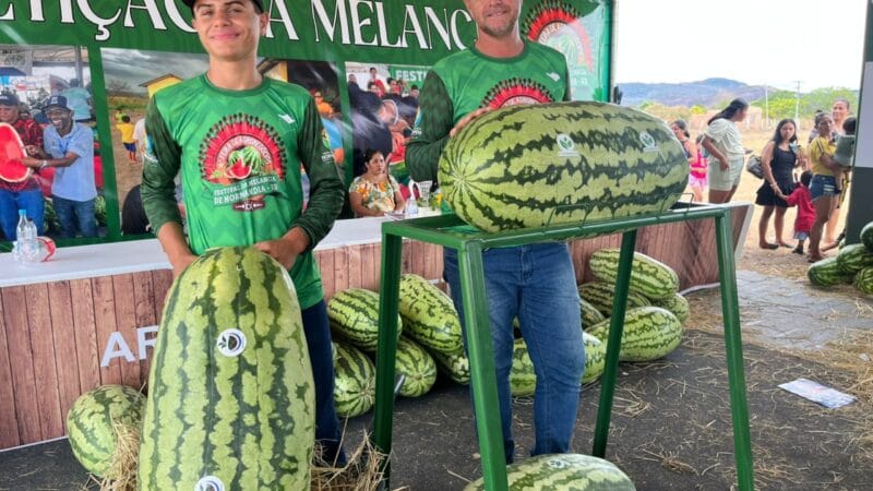 Melancias Gigantes Fazem Sucesso em Festival de Normandia, Roraima