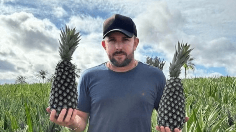 Morte Encomendada de Produtor de Abacaxi em TO: Rivalidade e Justiça