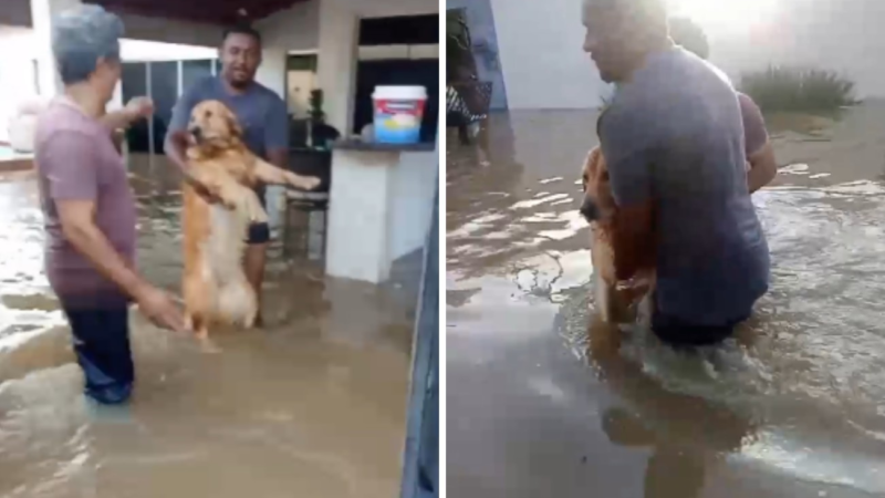 Alagamentos em Gurupi: Córrego Pouso do Meio Transborda Após Chuvas Intensas