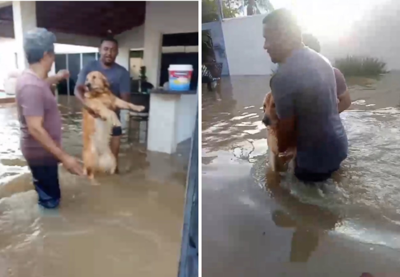 Alagamentos em Gurupi: Córrego Pouso do Meio Transborda Após Chuvas Intensas