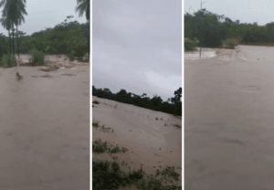 Força-tarefa é criada para mitigar os danos das chuvas no Tocantins