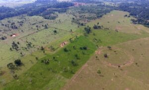 Acordo para Proteção dos Geoglifos no Acre: Medidas e Consequências