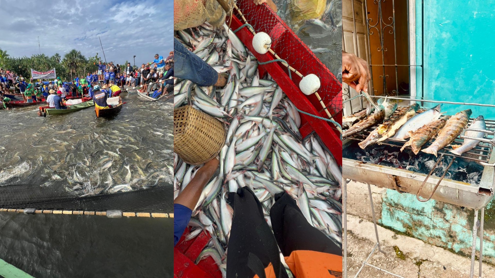 Reabertura da Pesca do Mapará Mobiliza Comunidades no Pará