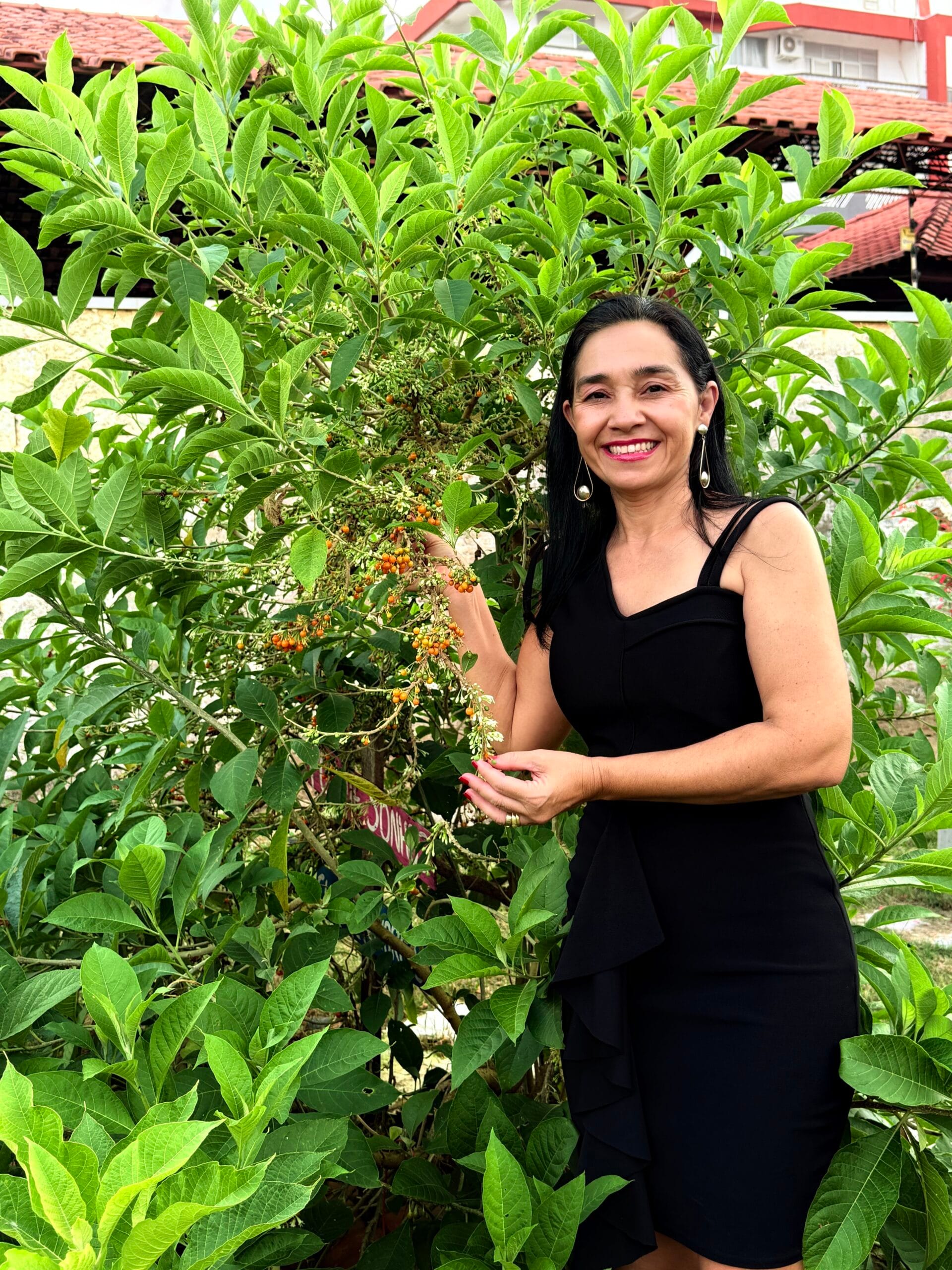 Transformação de Terreno Baldio em Jardim Atrai Beija-Flores em Ji-Paraná