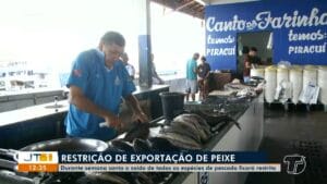 Pesca Liberada em Santarém: Oito Espécies Autorizadas Após o Período de Defeso