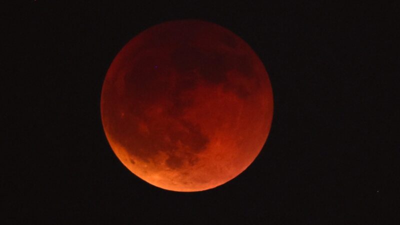 Eclipse Lunar: A Lua de Sangue Brilhará em Rondônia nesta Terça-Feira