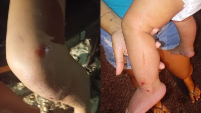 Violência Doméstica em Roraima: Homem Agride Ex-Companheira e Filho de 9 Meses