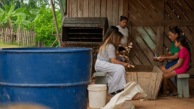 Sementes da Resistência: O Protagonismo Feminino na Agricultura Familiar do Acre