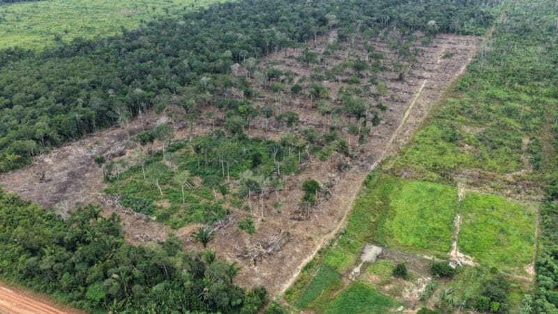 Operação Tamoiotatá 6: R$ 28 milhões em multas pelo combate ao desmatamento no Amazonas