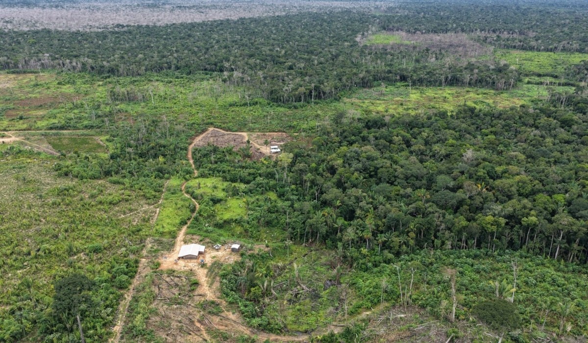 Operação Tamoiotatá: Multas Altas e Combate ao Desmatamento Ilegal no Amazonas