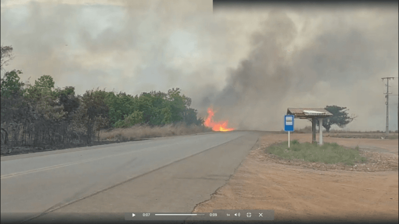 Incêndio Devasta Área de Lavrado em Boa Vista: Ações e Consequências