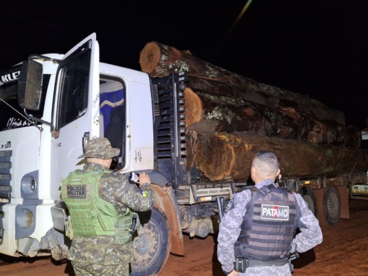 Apreensão de Madeira Ilegal em Área Protegida de Rondônia