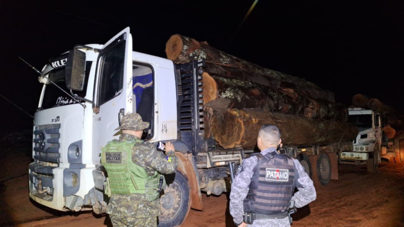 Apreensão de Madeira Ilegal em Área Protegida de Rondônia