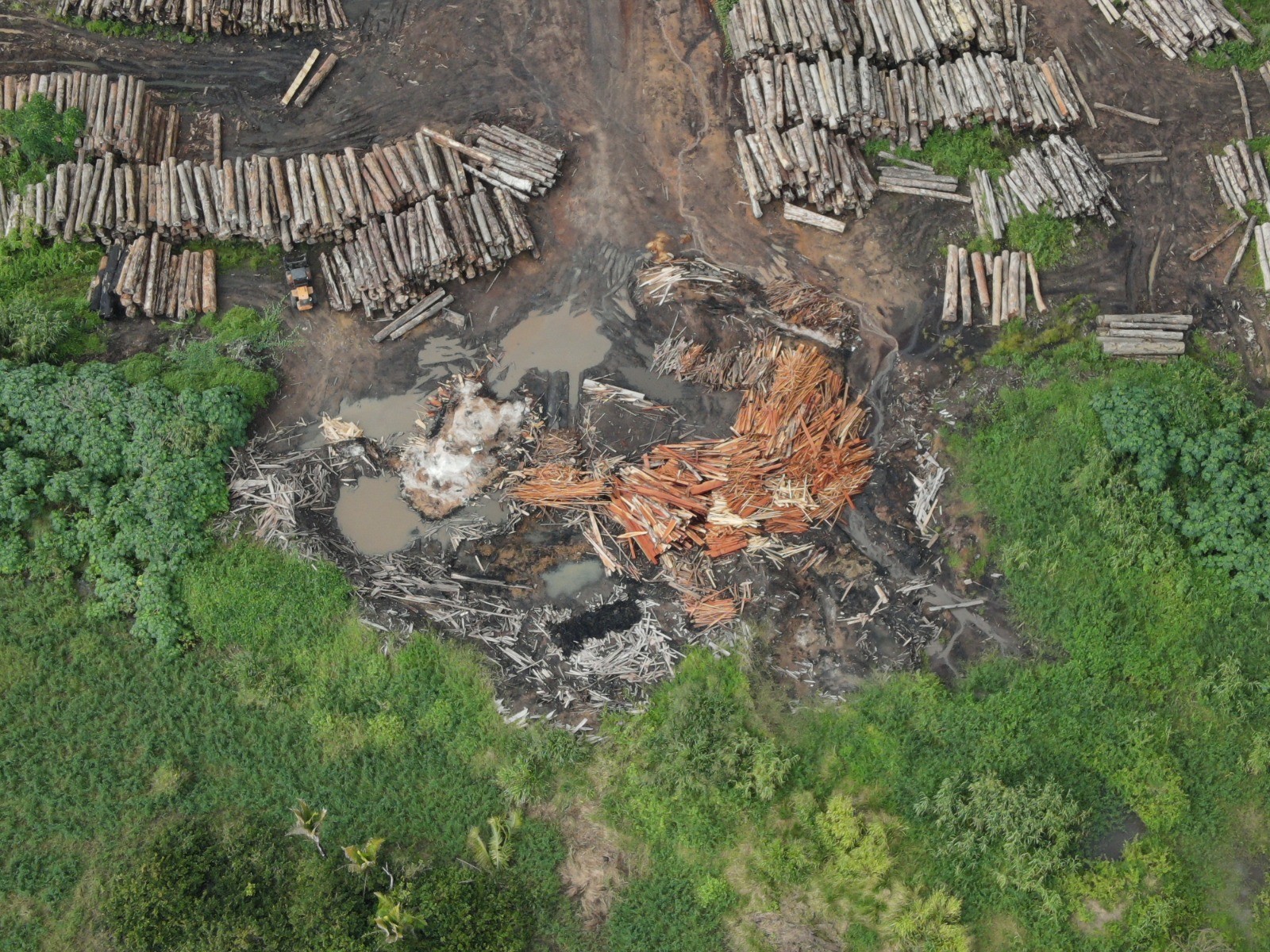 Prisão de Madeireiro em Anapu Após Tentativa de Suborno a Fiscal do Ibama