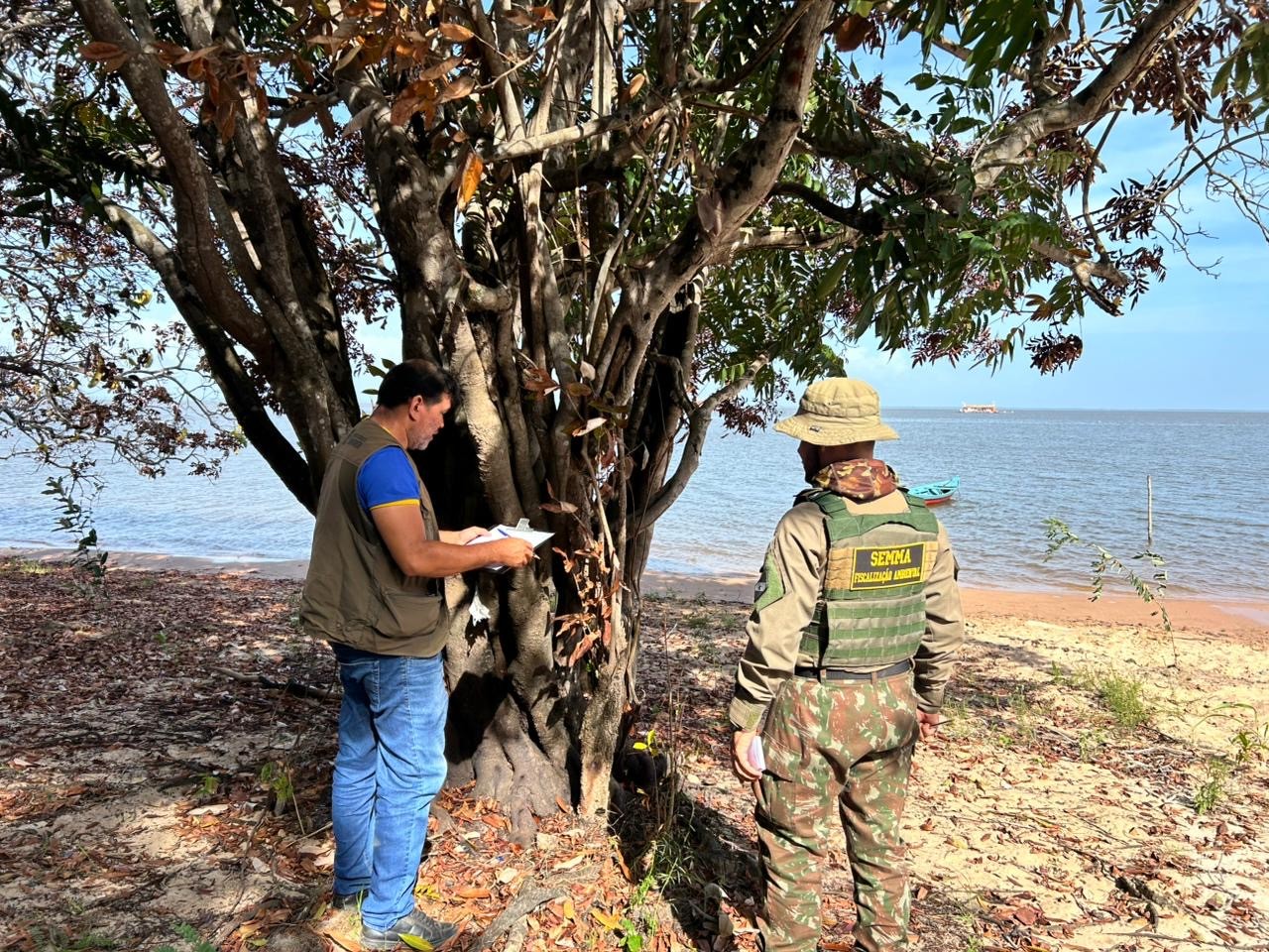 Semma Investiga Possível Envenenamento de Árvores na Praia do Jacundá em Alter do Chão