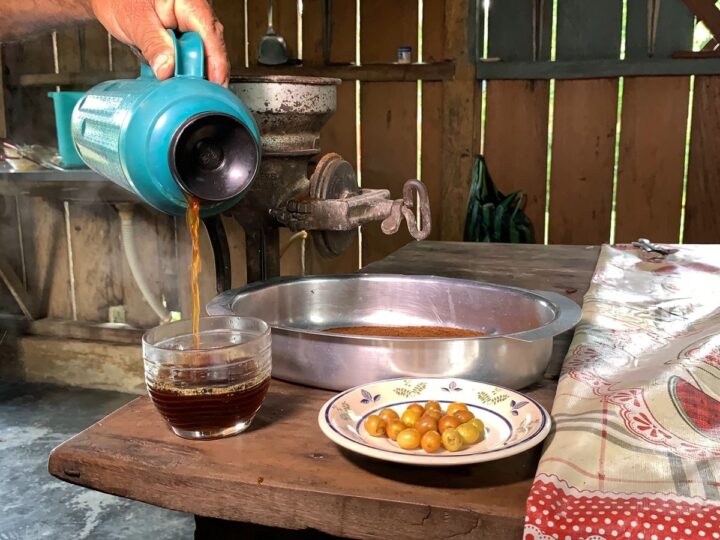 Crescimento da Produção de Café em Roraima: Um Panorama Atualizado