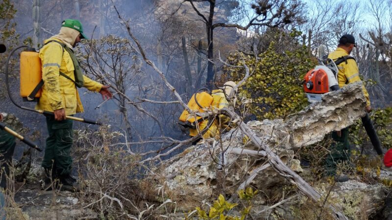 Semas Anuncia 112 Vagas para Brigadistas Florestais no Pará: Inscrições e Benefícios