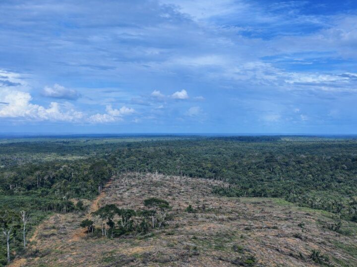 Fiscalização Embarga Área de Floresta Desmatada no Sul do Amazonas