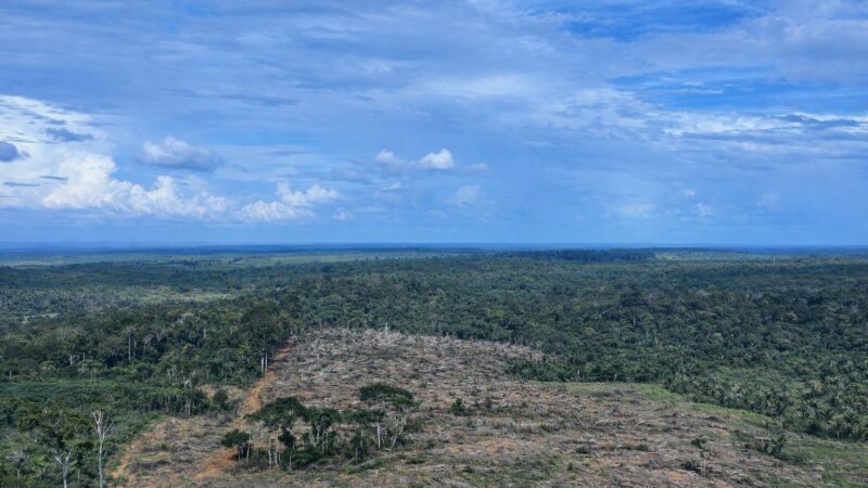 Fiscalização Embarga Área de Floresta Desmatada no Sul do Amazonas