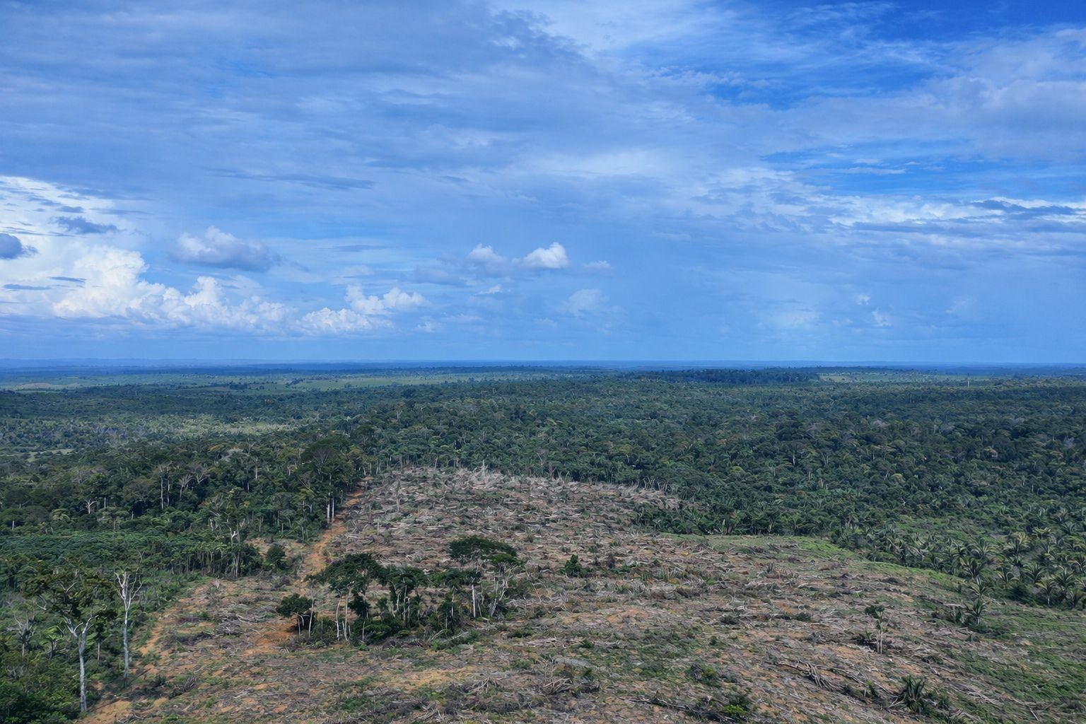 Fiscalização Embarga Área de Floresta Desmatada no Sul do Amazonas