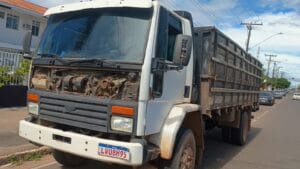 Despedida Romântica e Prisão: Suspeito de Furto em Santarém