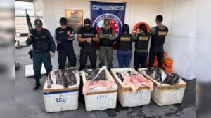 Apreensão de Pescado Irregular no Baixo Amazonas: 605 Quilos Interceptados