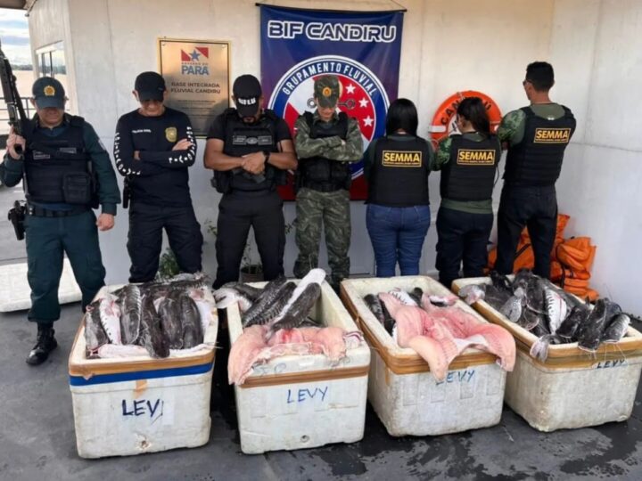 Apreensão de Pescado Irregular no Baixo Amazonas: 605 Quilos Interceptados