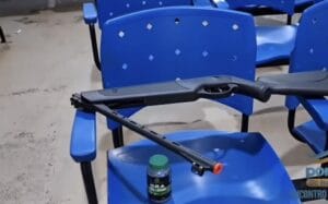 Homem Detido Após Disparo de Arma de Ar Comprimido Contra Gato em Santarém