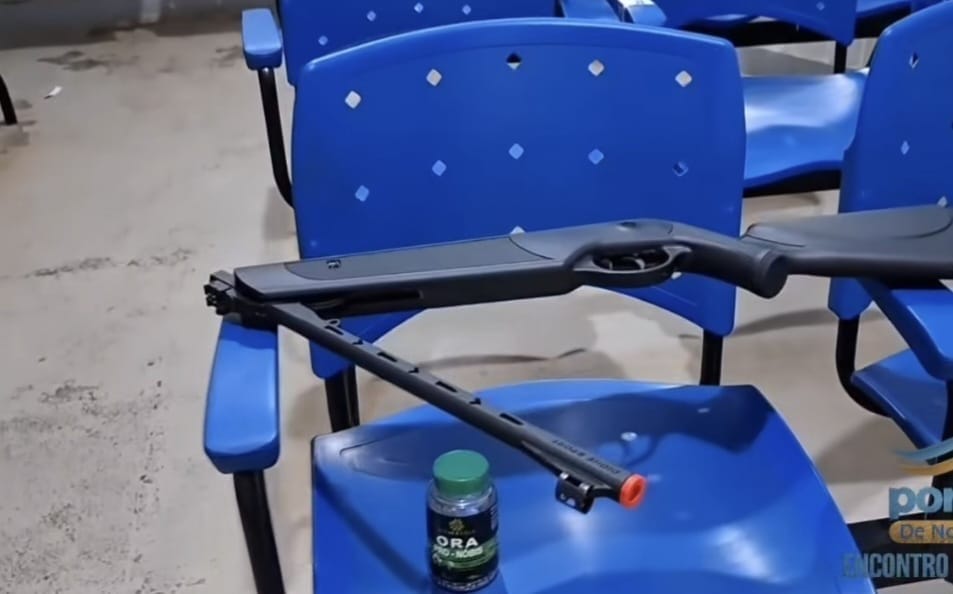 Homem Detido Após Disparo de Arma de Ar Comprimido Contra Gato em Santarém