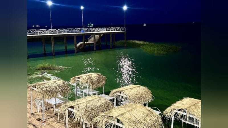 Estudo Investiga Efeitos das Cianobactérias nas Praias do Rio Tapajós