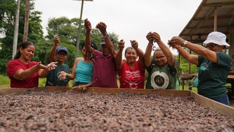 Mulheres de Tefé Transformam Cultivo de Cacau em Empreendimento Sustentável Durante a Páscoa