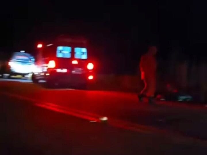 Principais Notícias de Roraima: Cirurgia de Cadela, Desvio Milionário e Acidentes