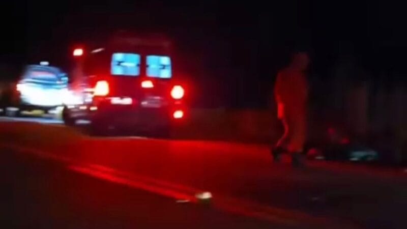 Principais Notícias de Roraima: Cirurgia de Cadela, Desvio Milionário e Acidentes