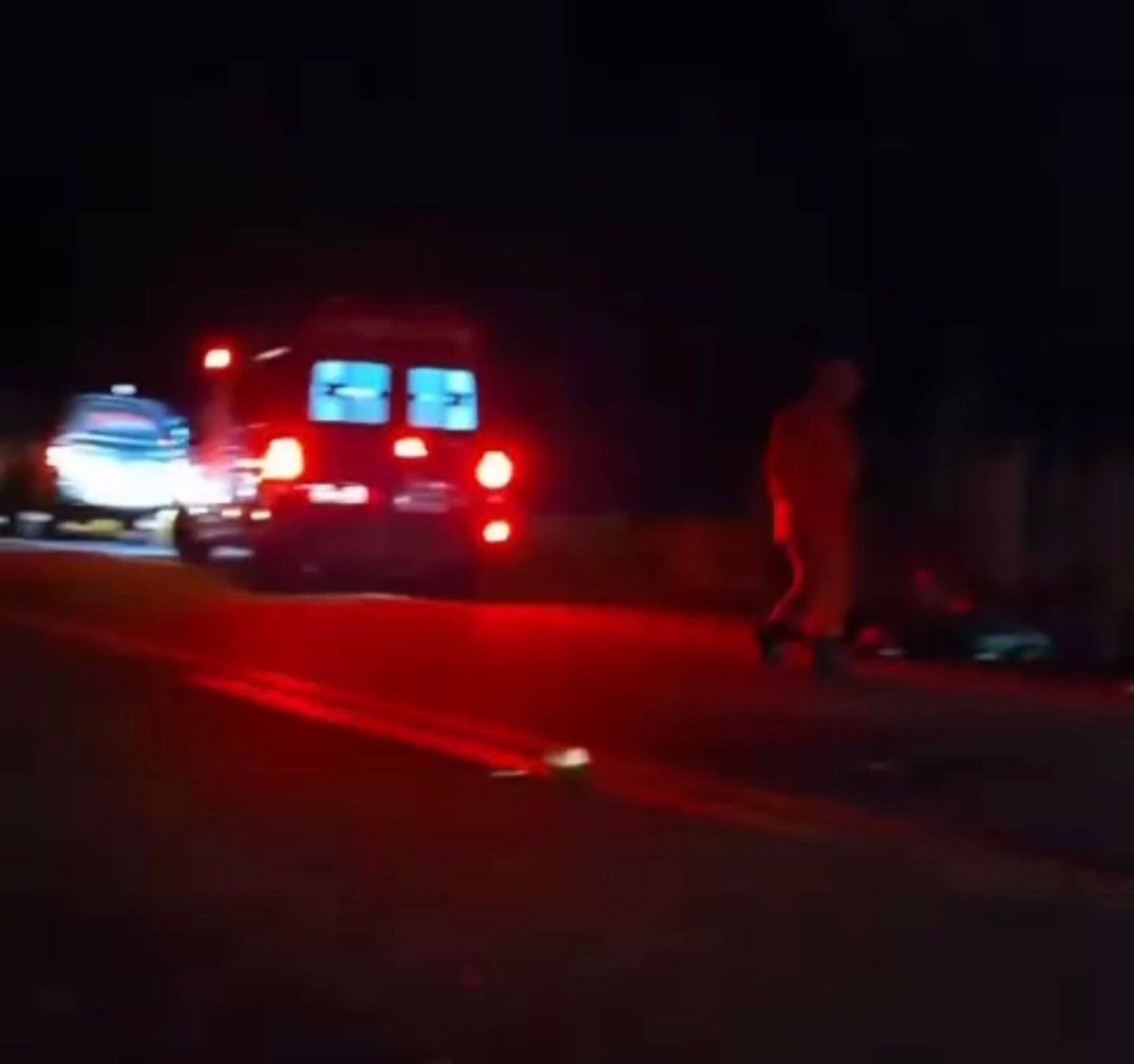 Principais Notícias de Roraima: Cirurgia de Cadela, Desvio Milionário e Acidentes