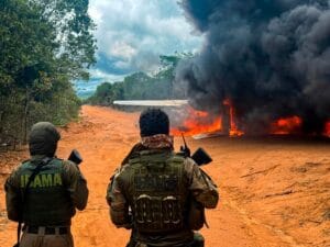Ibama Destrói Aeronave Utilizada em Garimpo Ilegal no Pará