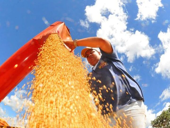 Crescimento da Atividade Econômica Brasileira em Fevereiro de 2026