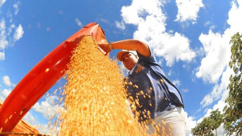 Crescimento da Atividade Econômica Brasileira em Fevereiro de 2023