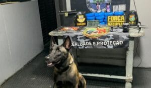 Polícia Militar do Amazonas Apreende Cocaína Oculta em Embarcação