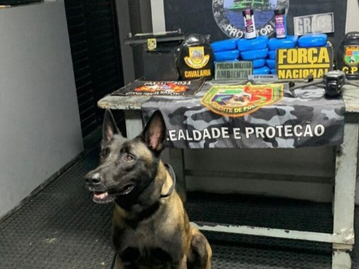 Polícia Militar do Amazonas Apreende Cocaína Oculta em Embarcação