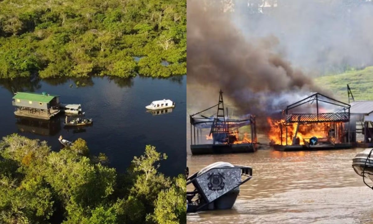 Facções Criminosas Expandem Domínio em Crimes Ambientais no Amazonas
