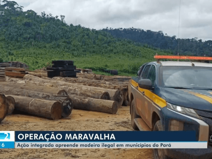 Operação Maravalha: Ação Conjunta Combate Extração Ilegal de Madeira no Oeste do Pará